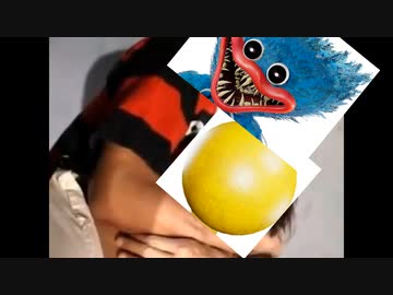 俺はお前らのおもちゃでいいんだ上等だろ.mp4