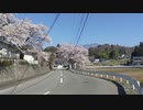 山梨県長坂　山あいの田園風景と桜を見る30秒