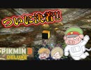 ピクミン3デラックス　＃36