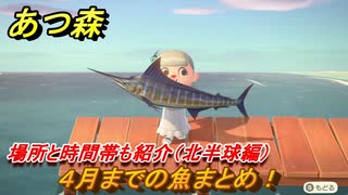 あつまれどうぶつの森　４月までの魚まとめ！場所と時間帯も紹介（北半球編）魚図鑑コンプのために　最新版【あつ森】