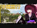 グロかわちゃんの沖縄旅行⑦