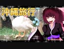 グロかわちゃんの沖縄旅行⑧