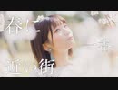 【るりこ】春に一番近い街 踊ってみた【桜の下で2023】