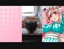 クリスのハムスターの日常。4