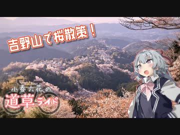 吉野山で桜散策！【小春六花の道草ライド】
