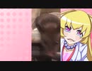ヒヨリちゃんのハムスターの日常。6