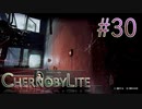 【CHERNOBYLITE】チョルノービリ原発を探索するホラーなクラフトFPSでRPGする実況。＃３０