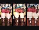 ライザのアトリエ3 太もも比較