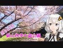 桜 2023  萩山四季の森公園（東京都東村山市）