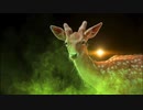 「アニマルセンス(Animal Sense)」　ZoK-IDM　インテリジェントダンスミュージック　IDM