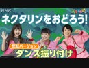 [天てれ] 『ネクタリン』をおどろう！ダンス振り付け解説(反転バージョン)マカロニえんぴつ×yurinasia×てれび戦士【天才てれびくん】| NHK