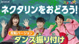 [天てれ] 『ネクタリン』をおどろう！ダンス振り付け解説(反転バージョン)マカロニえんぴつ×yurinasia×てれび戦士【天才てれびくん】| NHK