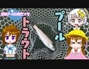 月読アイの釣行メモ part23【プールトラウト初挑戦！】