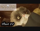 【実況】話題の魔法学校に編入してみた　part24【ホグワーツ レガシー】