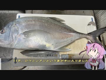 珍食材が食べたい！#135　ロウニンアジのなめろう