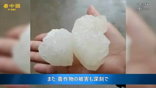 卵大の雹が降る