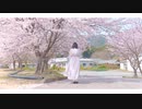 【さくらみか】花降らし【踊ってみた】