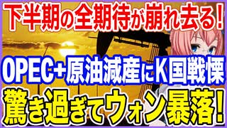 下半期の全期待が崩れ去る！OPECプラスの原油減産でK国に戦慄が走る！驚き過ぎてウォンが暴落！【2023/04/04】