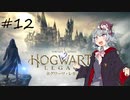 【ホグワーツレガシー】イギリスでは30歳まで待たなくても魔法使いになれるらしい#12