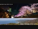 峠道とか夜桜路とか歩きながら。