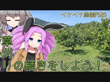 2023年4月4日　農作業日誌P589　出稼ぎ先は草がもっさもさで草刈りばかり・・・　VOICEVOX