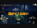 【縛りプレイ】無限の弾で進む道　その６【モンスターハンターライズ：サンブレイク】