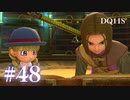 【実況】感情が昂りがちな人間が勇者と冒険する初見プレイ part48【ドラゴンクエスト11S】