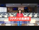 予告編「ワクチン信奉の崩壊 2 　－ワクチンの罪と真の免疫－」
