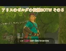 【アリスのゼルダの伝説】BOTWその5（後編）