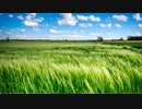 風 wind 【フリーBGM】