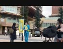 2023年04月05日_暗黒放送　品川区政治活動　放送(lv340861819)_横山緑（本物）_暗黒放送C(co3974219)_001