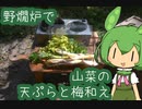 【野燗炉】山菜の天ぷらと梅和えで呑む【ﾐﾆ長火鉢】