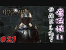 重装備にも程がある　「ホグワーツ・レガシー」　＃21