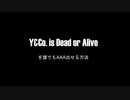 Y&Co. is dead or aliveでAAA出す方法