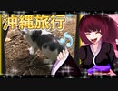 グロかわちゃんの沖縄旅行⑨