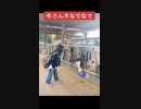 牛さんなでなで□