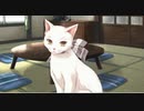 魔法、ひとつくださいな。　プレイ動画　パート19　シュレルート1