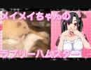 メイメイのハムスターの日常。11