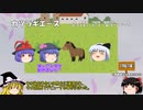 名馬解説　カツラギエースについて