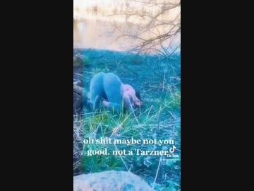 ホモと見る自分をターザンだと思い込んでいる女