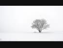 不可視の世界 The Invisible World 【フリーBGM】