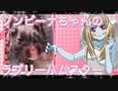 ゾンビーナのハムスターの日常。38