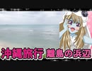 ゾンビーナちゃんの沖縄旅行,離島の浜辺サンセット