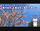ひとりでとことこツーリング番外編28　～鹿児島市　石橋記念公園の河津桜～