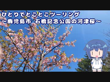 ひとりでとことこツーリング番外編28　～鹿児島市　石橋記念公園の河津桜～