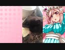 クリスのハムスターの日常。9