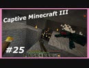 【Minecraft】 #25 今度こそ毒グモよさようなら 【Captive Minecraft III】