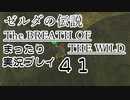 【実況】ゼルダの伝説ＢＯＷをまったり実況【第４１回】