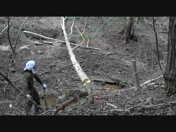 のんびり田舎暮らし計画 #10（第一回大木伐採）
