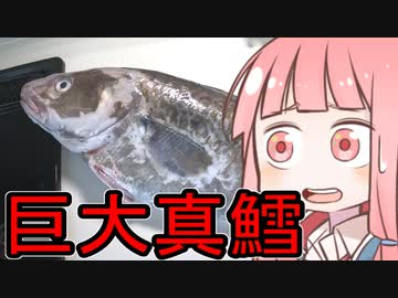 英国面に堕ちた茜ちゃんのフィッシュ＆チップスVOICEROID実況